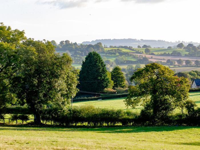 Frith Green, Bromyard