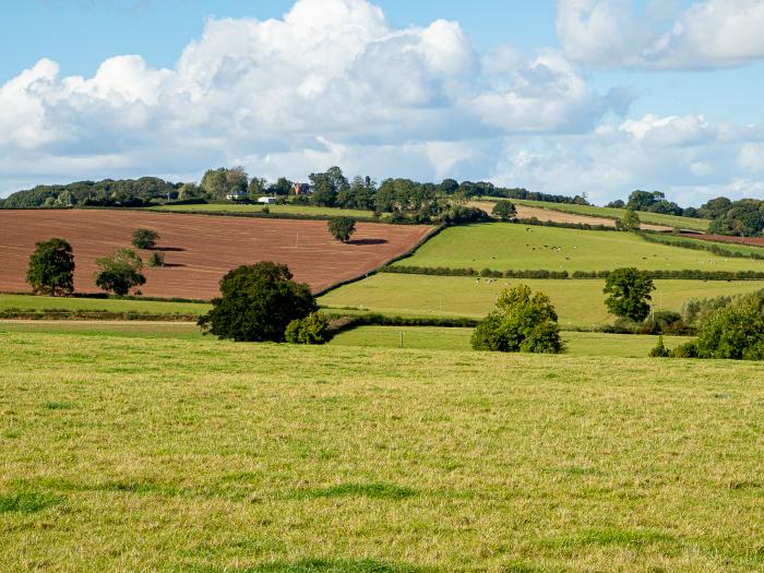 Frith Green, Bromyard