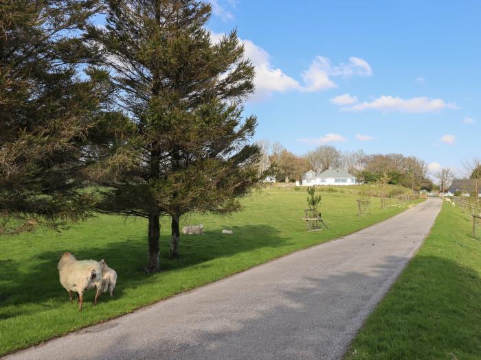 Hurdwick Lodge, Tavistock, Devon, near Dartmoor National Park, Near Tamar Valley AONB, Open plan, TV