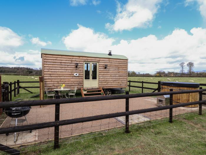 Balwen Hut, Berriew