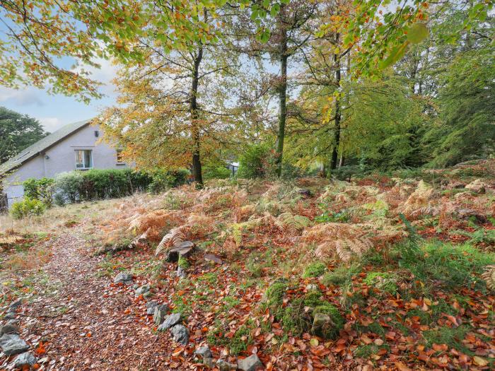 Cedar Lodge, Bowness-On-Windermere