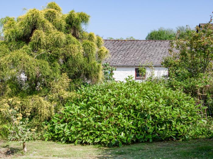 Sandpiper Cottage, Salcombe