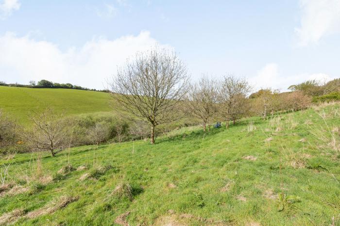 Hazel Barn, North Molton