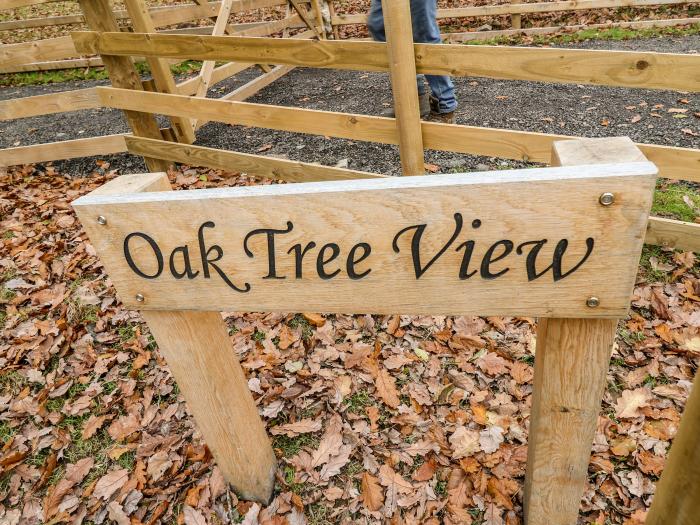 Oak Tree View, Rhayader