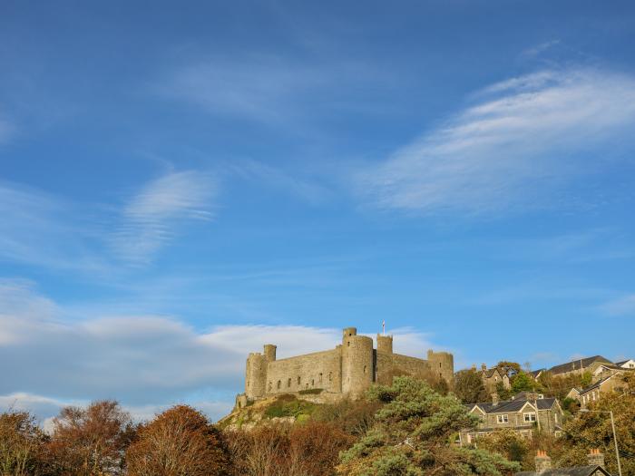 Bramble Bank, Harlech