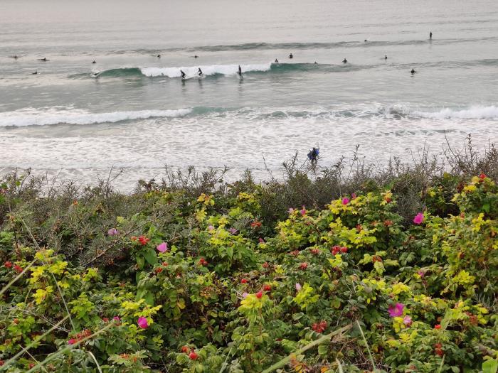 Fistral Retreat, Newquay