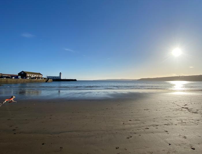 Kittiwake Cottage, Scarborough