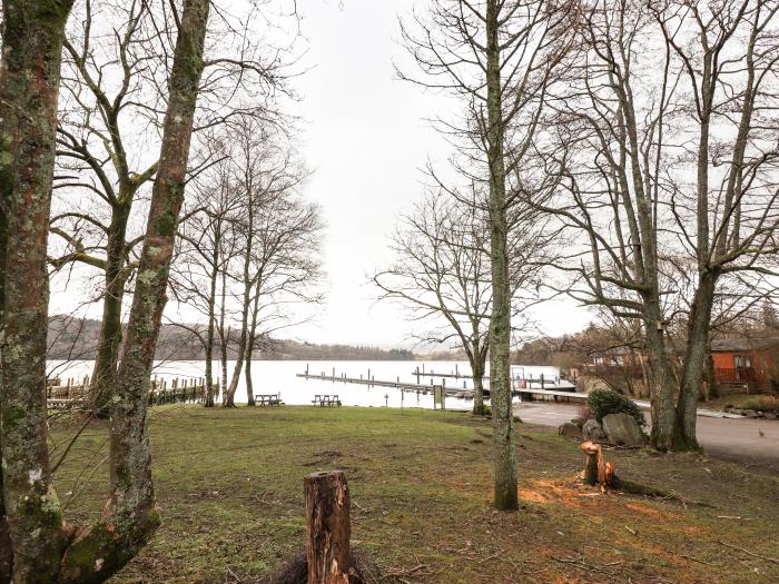 Bramblings by the Lake, Windermere