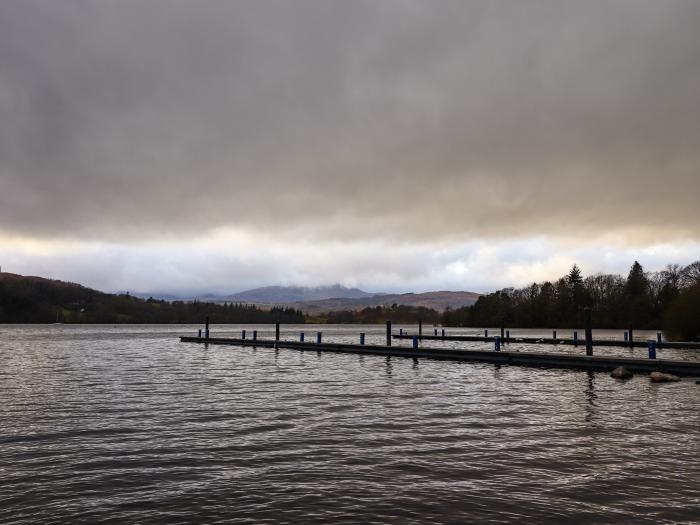 Bramblings by the Lake, Windermere