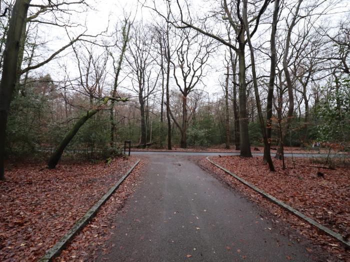 Forest Getaway, Farnham Common