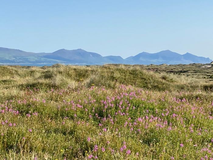 Barn End, 9 Stad Clynnog, Newborough