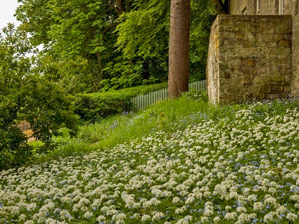 The Coach House, Northumbria