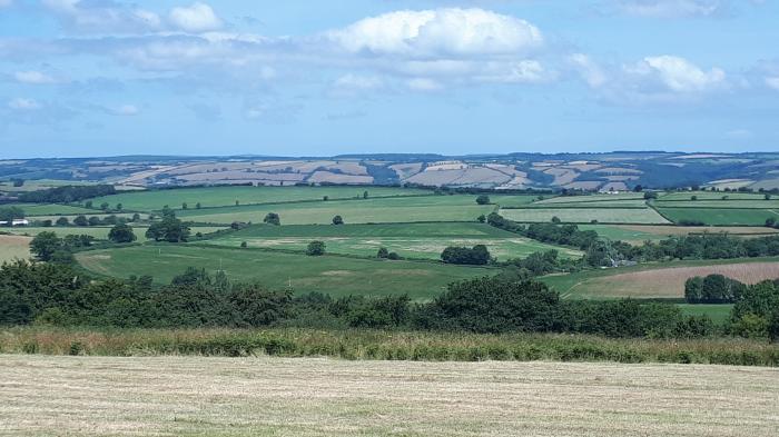 Orchard Lodge, Sampford Peverell, Devon