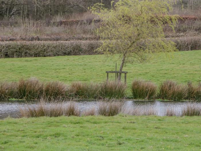 Orchard Lodge, Sampford Peverell, Devon