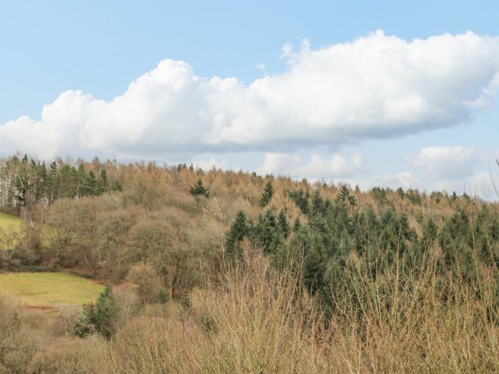 Paradise Found, Symonds Yat