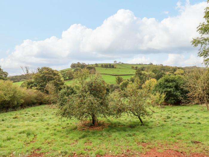 Hideaway Cabin, Thorverton