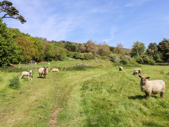 Hillside Farm Retreat, Niton