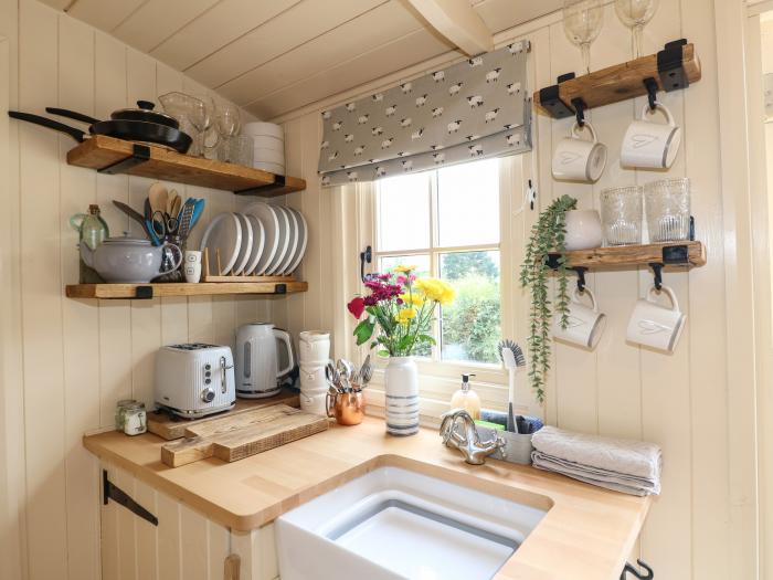 High Grounds Farm Shepherd's Hut, Ashbourne