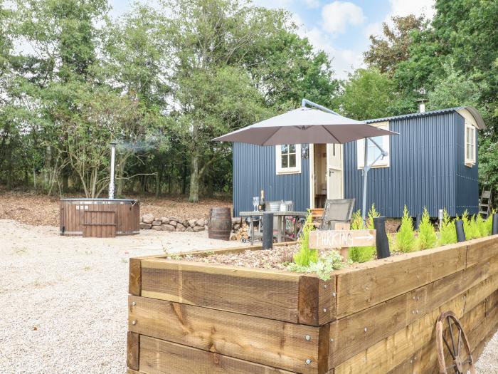 High Grounds Farm Shepherd's Hut, Ashbourne