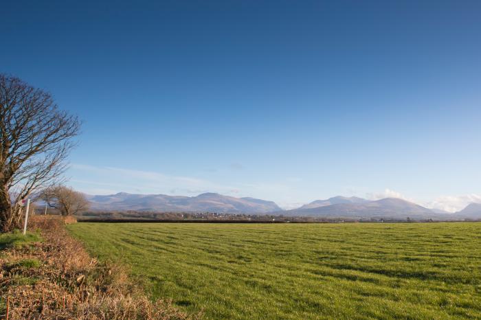 Yr Erw, Llangefni