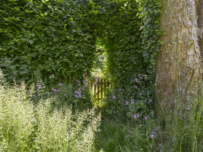 Bluebell Cottage, Mary Tavy