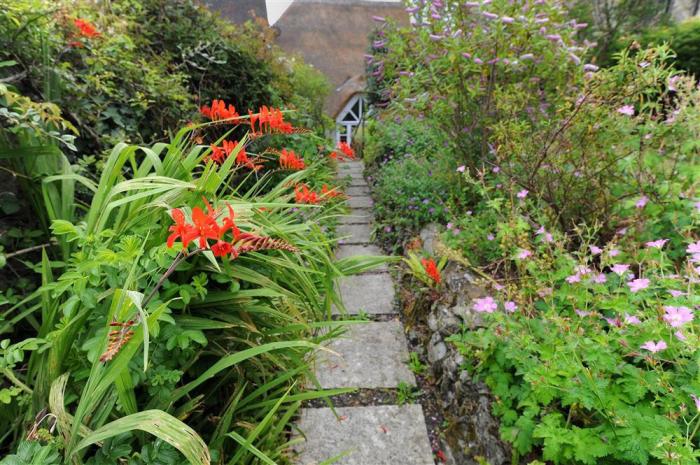 The Nest, Lyme Regis