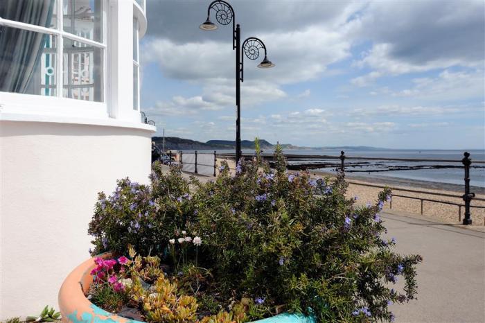 Harville Cottage, Lyme Regis