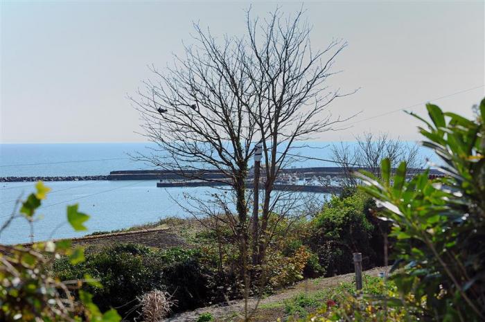 Tulip Tree Apartment, Lyme Regis