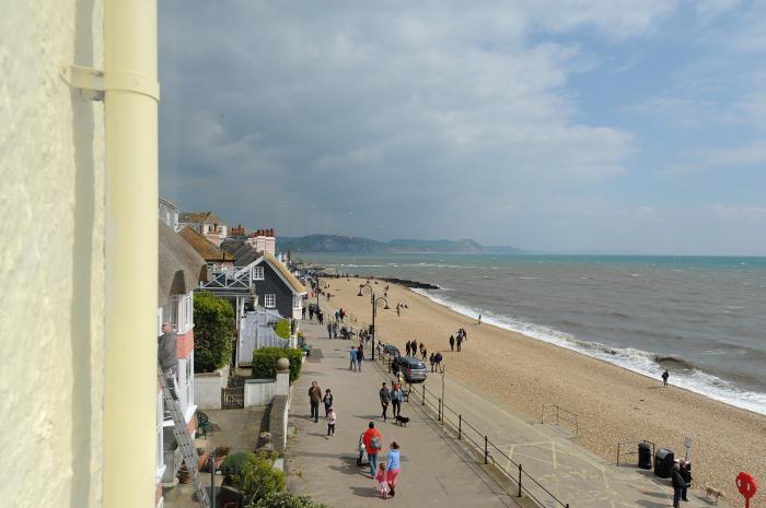 Starfish, Lyme Regis