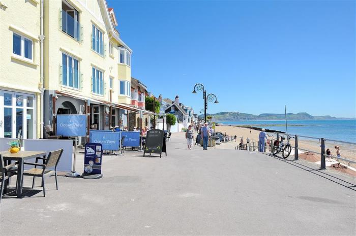 Starfish, Lyme Regis