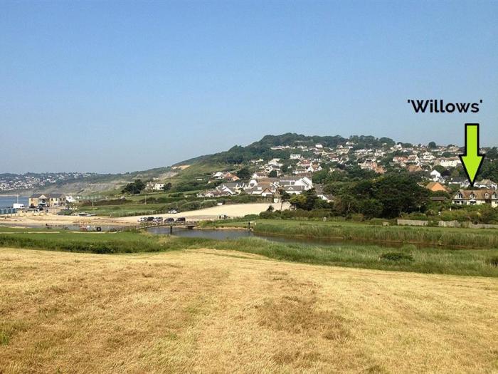 Willows, Charmouth