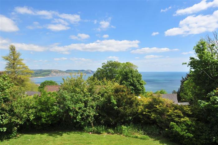 High Cliff Orchard, Lyme Regis