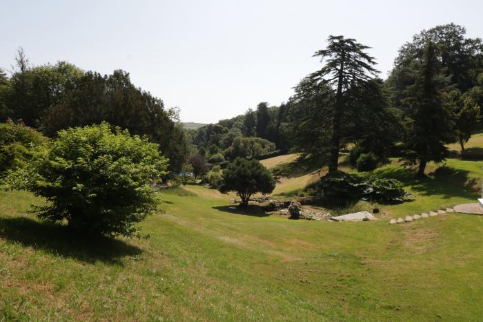 Maple Tree View, Blackawton