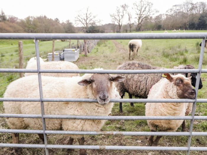 Ghyll Park Farm, Horam