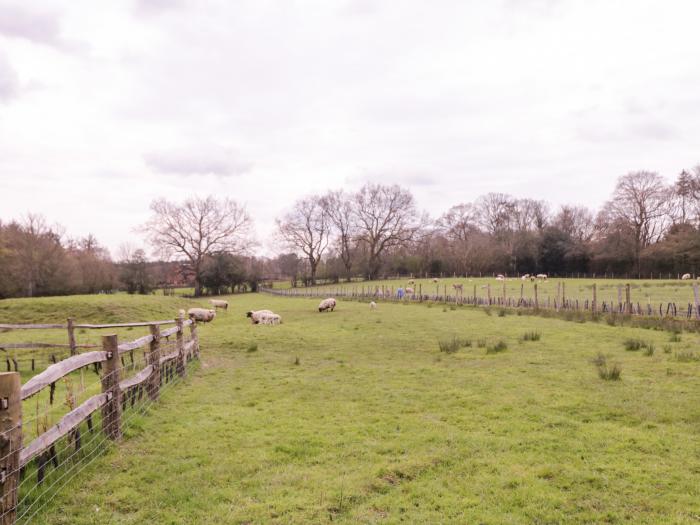 Ghyll Park Farm, Horam