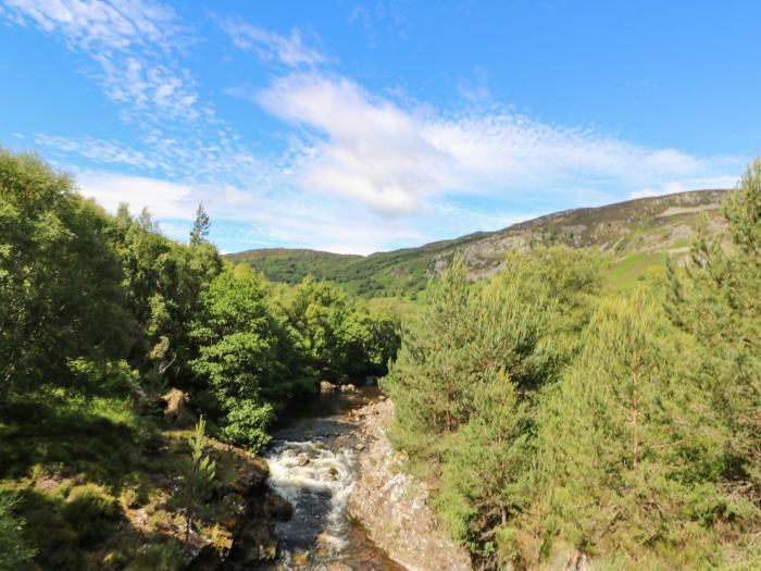 Birch, Newtonmore