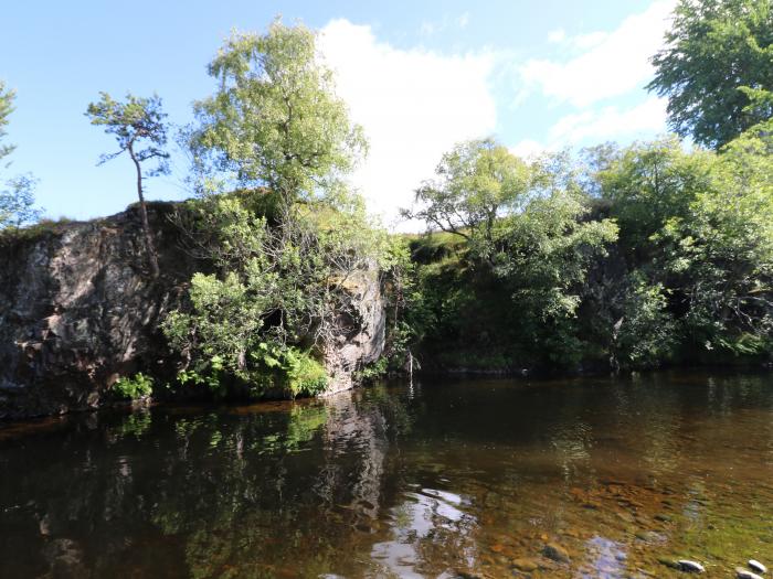 Birch, Newtonmore