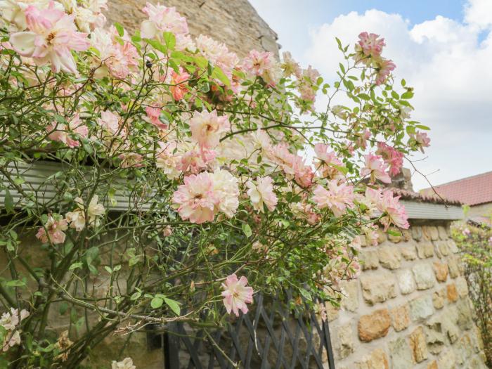 Snowdrop Cottage, Brompton-By-Sawdon