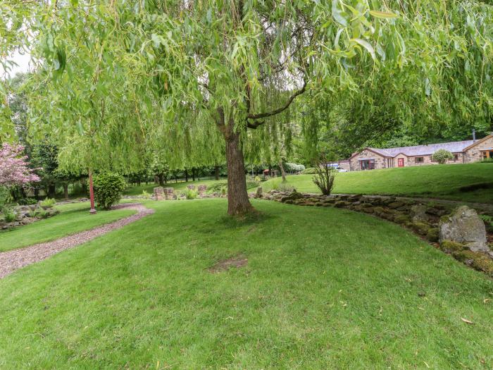 Hidden Oasis, Whins Wood