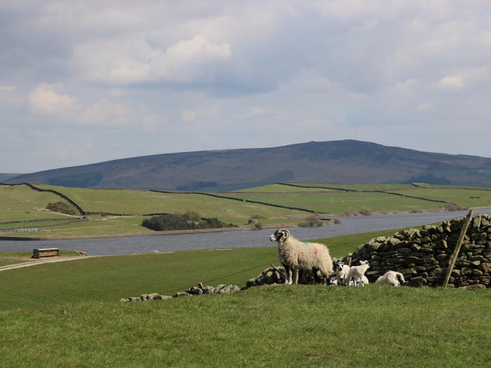 Darrowby Barn, Grassington