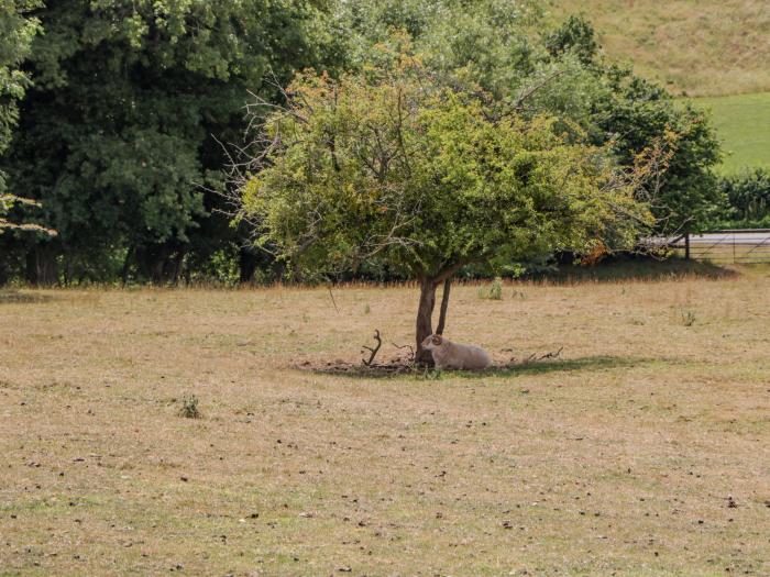 Phocle Ridge, Ross-On-Wye