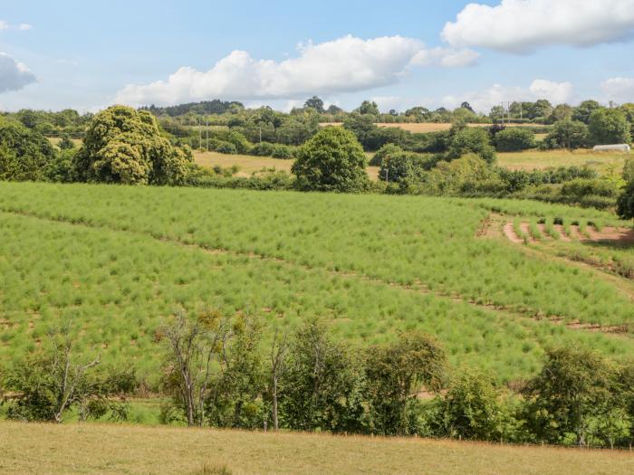 Phocle Ridge, Ross-On-Wye