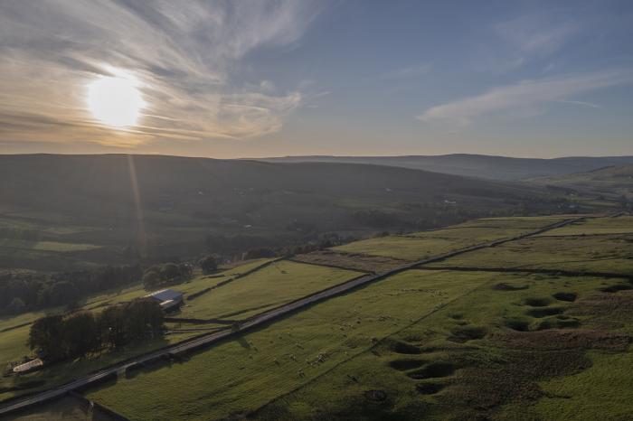 Chestnut, Alston