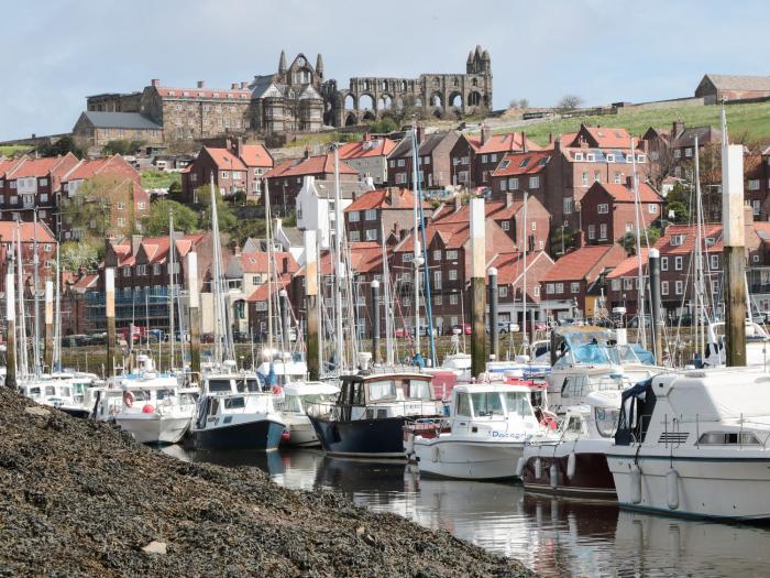 Stoker's Rest, Whitby