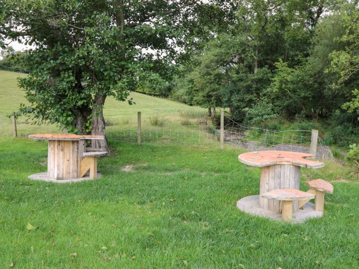 The Kingfisher, Rhayader