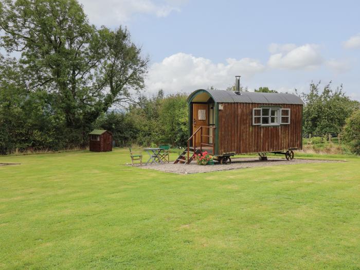 Brown Hare Shepherds Hut, Llangorse