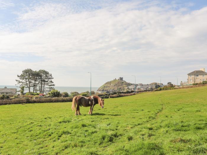 Awelfryn, Criccieth