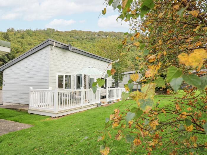 The Shed, Llanarth