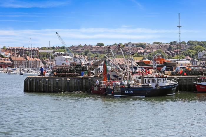 The Harbour Den, Whitby