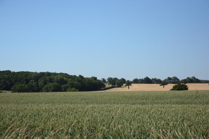 Carriage House, Bruisyard, Framlingham